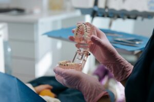 Close-up of a dental professional examining an anatomical teeth model in a dental clinic.